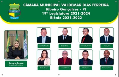 19ª LEGISLATURA.png